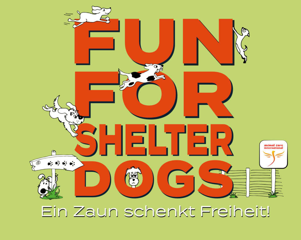 FUN FOR SHELTER DOGS - Ein Zaun schenkt Freiheit!
