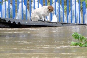Überflutungen in BHI