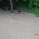 Überflutungen in BIH