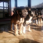 neugierige Babies
