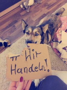 Lilly #wirhandeln