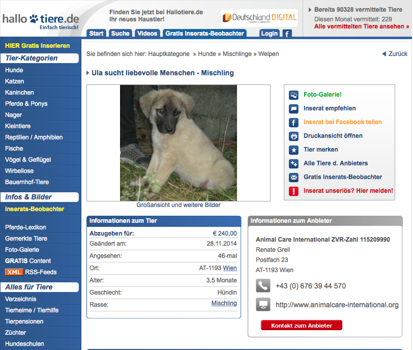 Ula - Tier der Woche