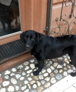 Alba_20150119_123405