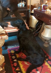 Alba_20150119_130021