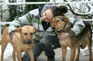 Didi_Ogy_Pflegestelle_Feb2015