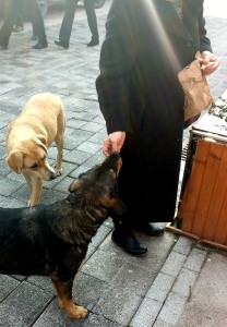 Osteraktion_20150129_094125