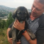 11. Hundekind gerettet