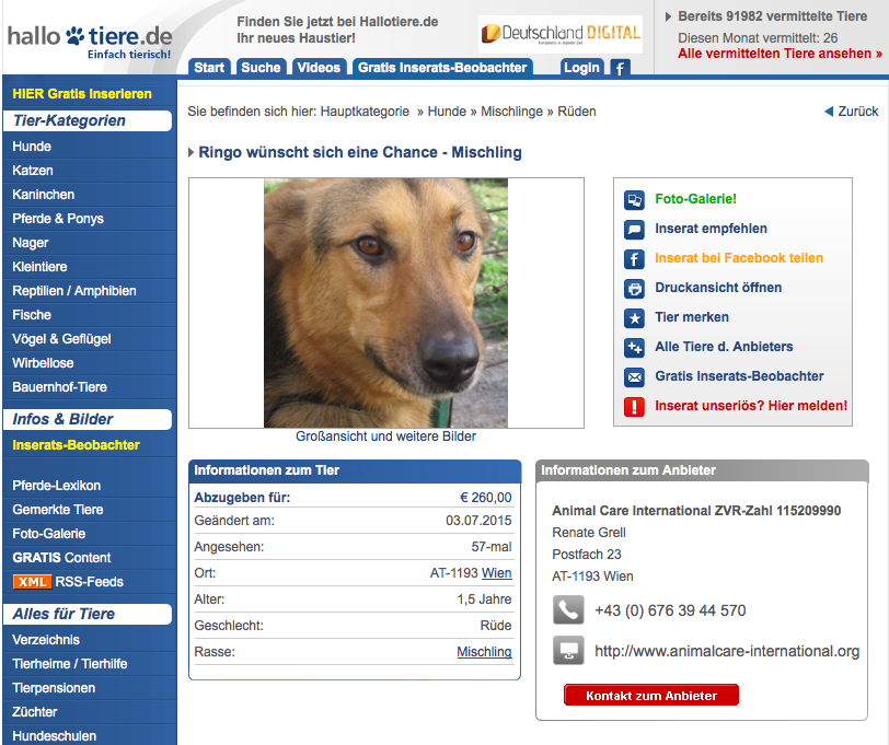 Ringo auf hallotiere.de