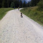 Billy beim Wandern