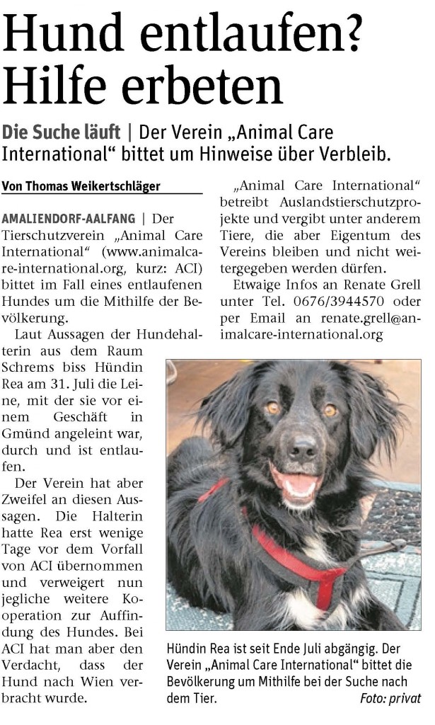Rea in der NOEN Gmuend