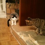 Smoky mit Freundin Chiara