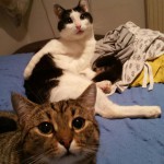 Smoky mit Freundin Chiara