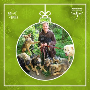 RDB Adventkalender Pater Anthony