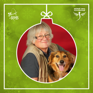 RDB Adventkalender 2015 mit Wolfgang