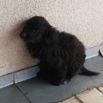 Angels gerettetes Baby