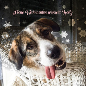 holly_weihnachten2016