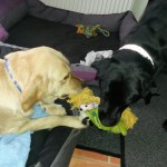 Angel und Nora