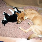 Didi & Micia