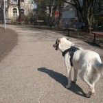 Snjeza draußen unterwegs