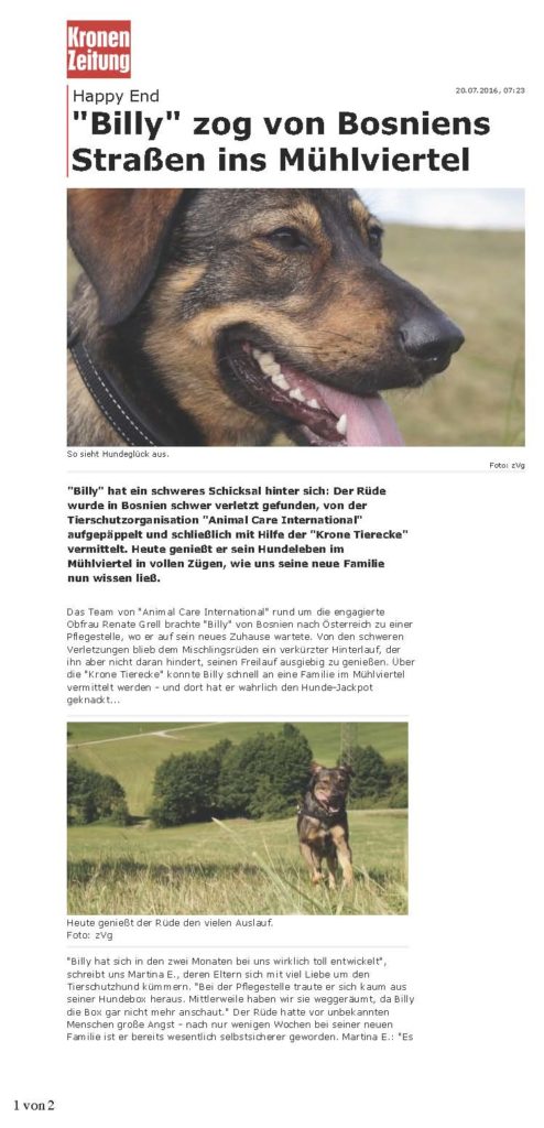 22.07.2016_Billy_krone.at_Seite_1