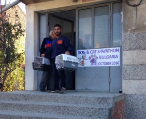 Spayathon_okt2016