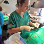 Spayathon_okt2016