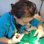 Spayathon_okt2016