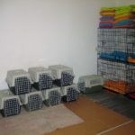Spayathon_okt2016