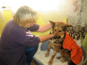 Spayathon_okt2016