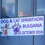 Spayathon_okt2016 board