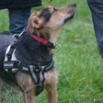 Jacky unvergessen