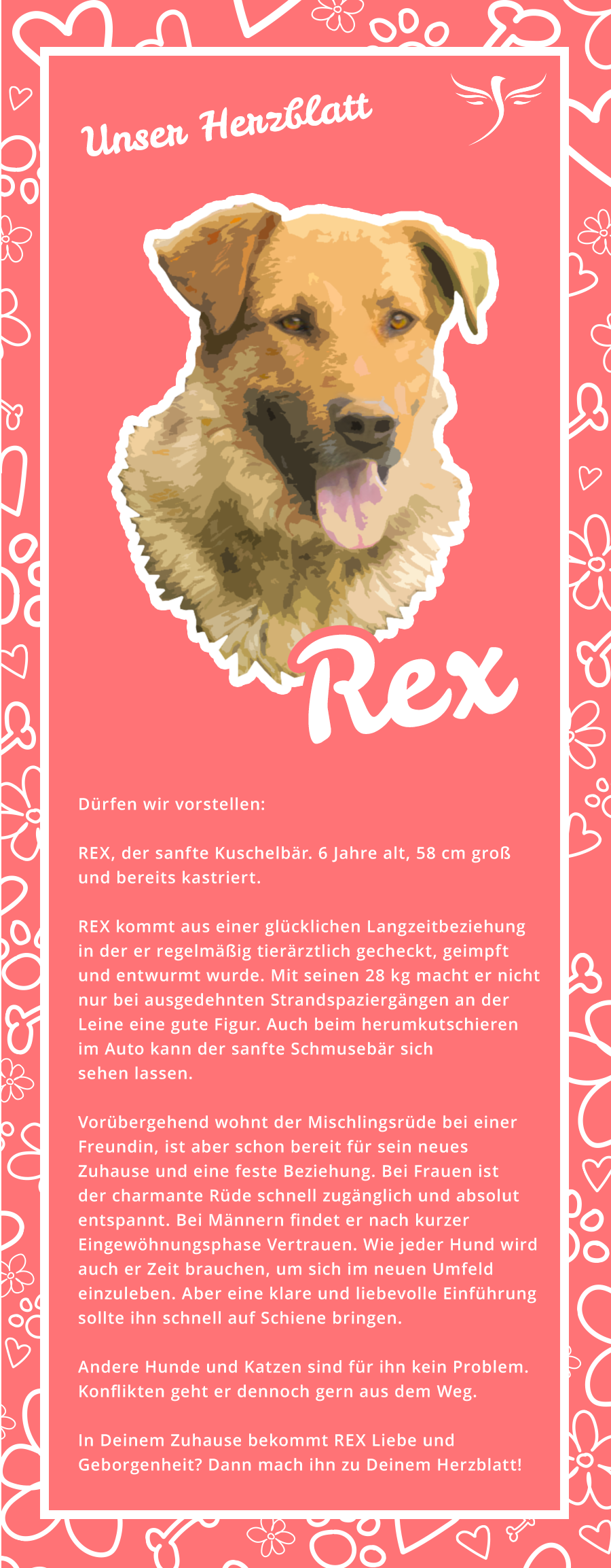 Unser Herzblatt Rex