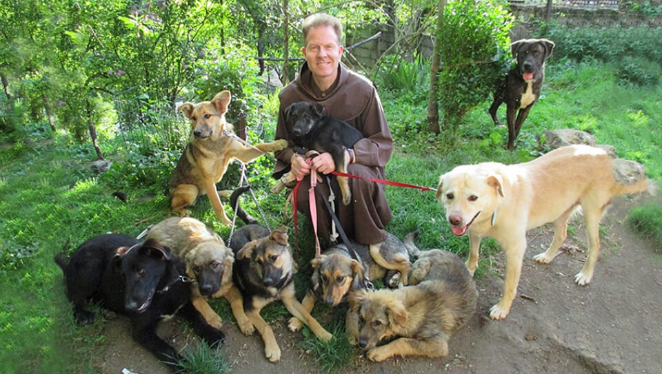 Father Anthony mit Hunden aus Bosnien