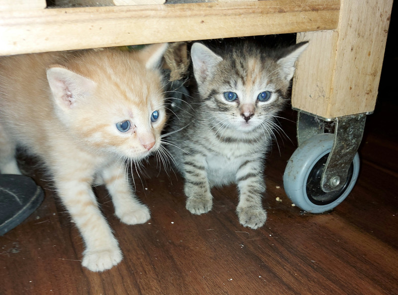 Tina Und Tom Tina Und Tom