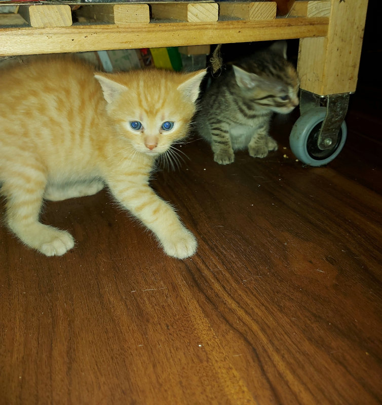 Tina Und Tom Tina Und Tom