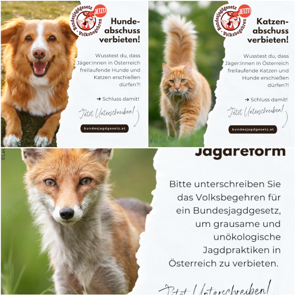 Klicken Sie bitte auf das Bild!