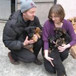 AIDA, FRA TONI and 5 puppies