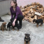 AIDA and 5 babies.