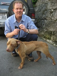 ANIMAL CRUELTY - 2