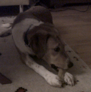 Aki1