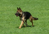 Asta2