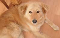 Bailey3