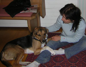 Baily1