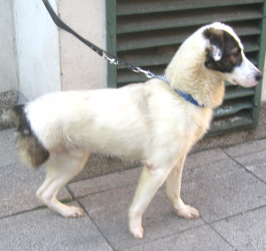 Ben in 2011