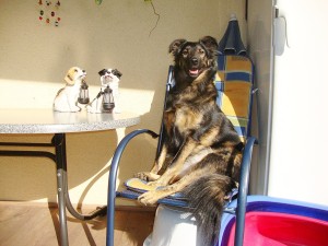 Bild_derWoche_Harriet