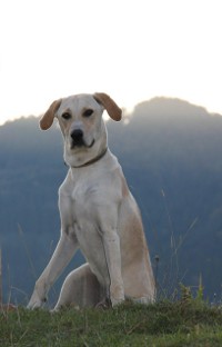 Billy2