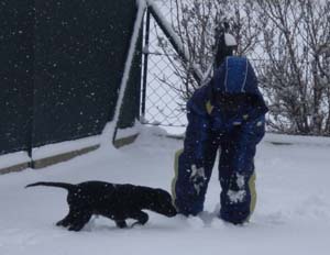 Blacky1