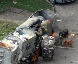 Bosnian reality