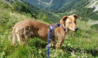 Bruno3