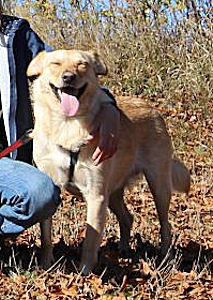 Cooper--.4